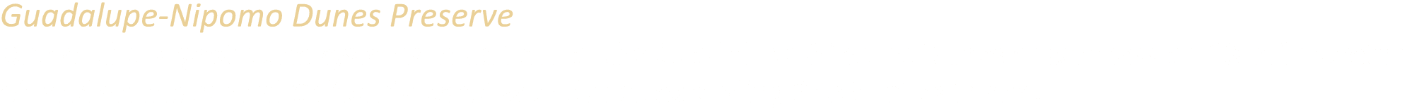 Guadalupe Nipomo Dunes Preserve One of the largest dune systems in California, the Guadalupe Nipomo Dunes encompass a...