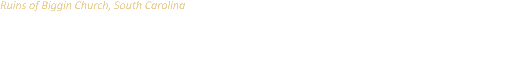 Ruins of Biggin Church, South Carolina This structure was built in 1761 to replace a previously existing church destr...