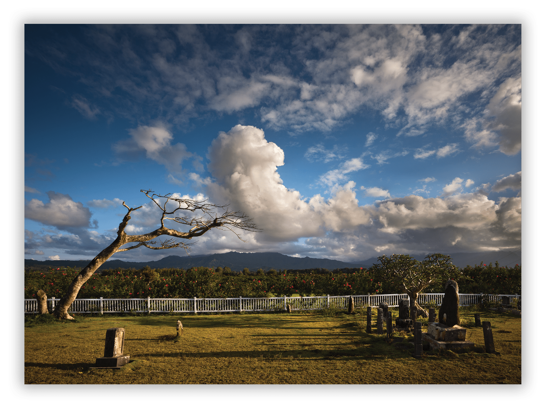 Kilauea Japanese Cemetery