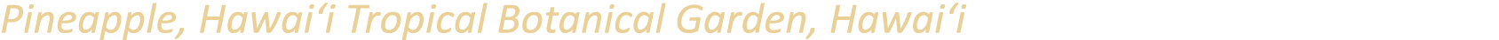 Pineapple, Hawai‘i Tropical Botanical Garden, Hawai‘i