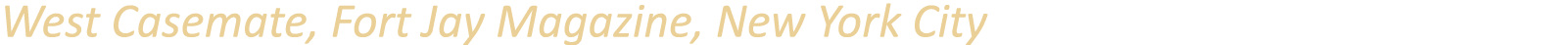 West Casemate, Fort Jay Magazine, New York City