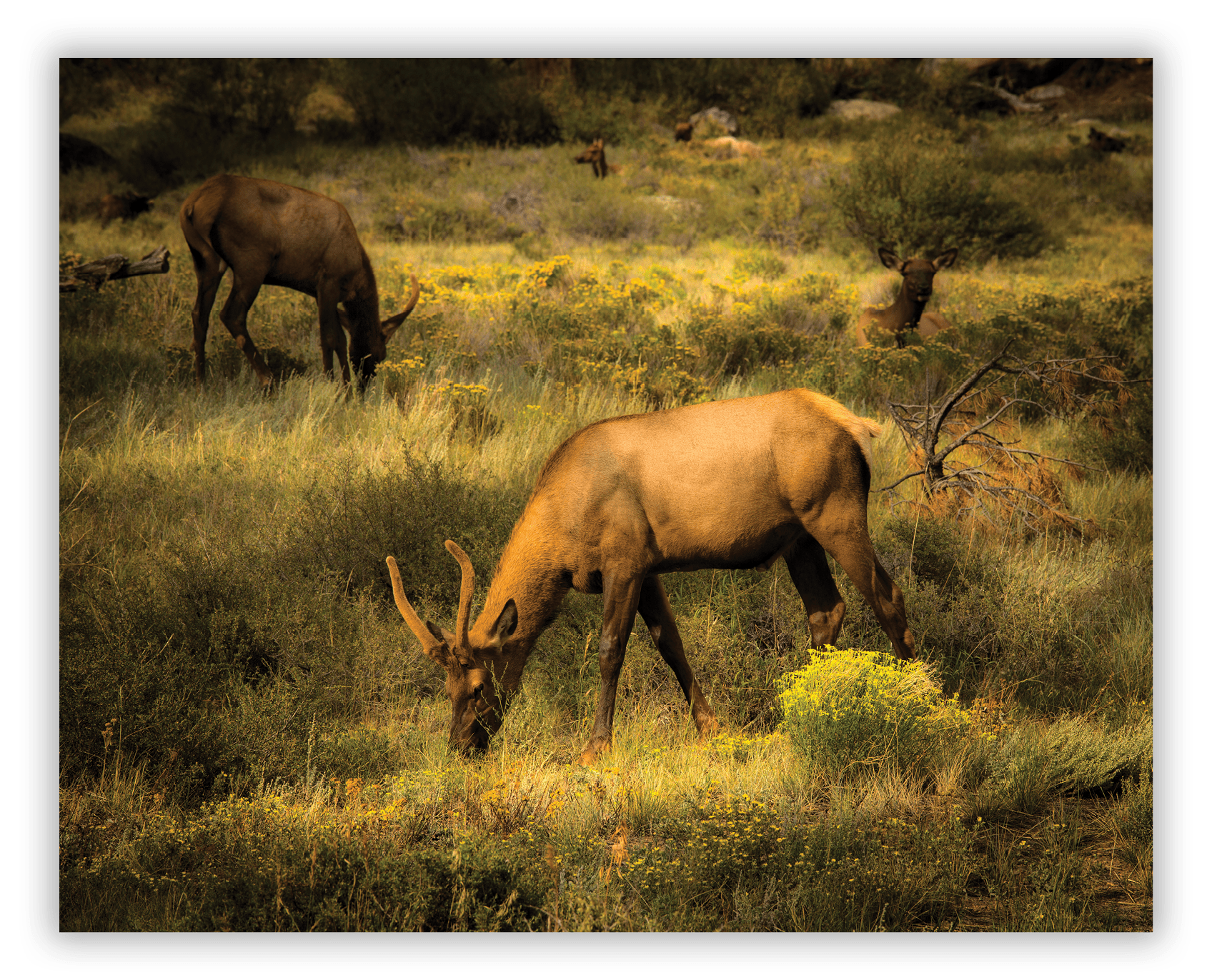 Rocky Mountain National Park