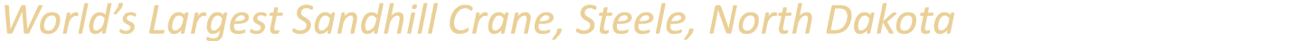 World’s Largest Sandhill Crane, Steele, North Dakota