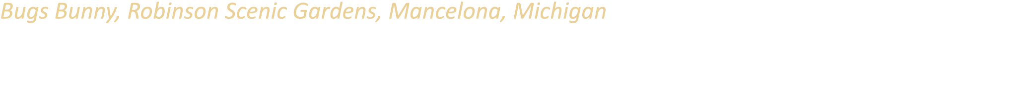 Bugs Bunny, Robinson Scenic Gardens, Mancelona, Michigan Robinson Scenic Gardens is a garden center and roadside attr...