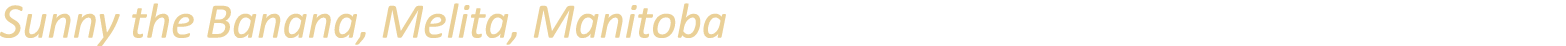 Sunny the Banana, Melita, Manitoba