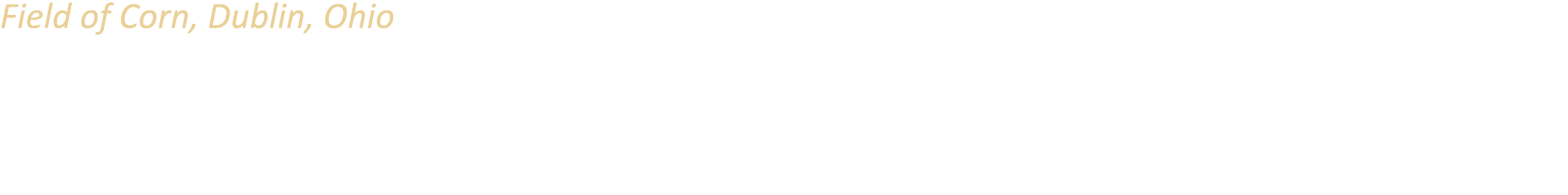 Field of Corn, Dublin, Ohio Created by artist Malcolm Cochran in 1994, Field of Corn consists of 109 6 foot tall, 150...