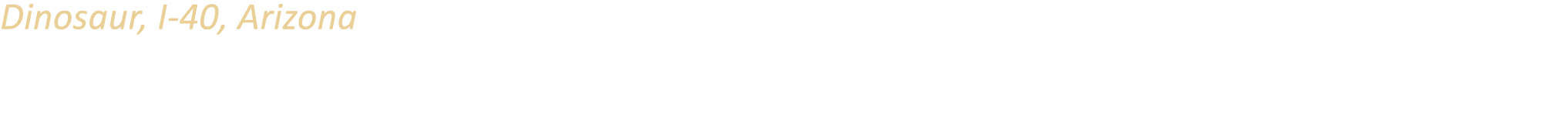 Dinosaur, I 40, Arizona One of several concrete dinosaurs placed along the interstate near Holbrook, Arizona advertis...