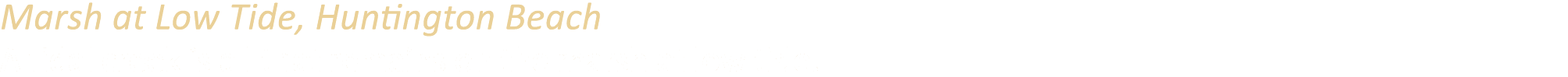 Marsh at Low Tide, Huntington Beach A tidal creek is all that remains on the marsh at low tide.