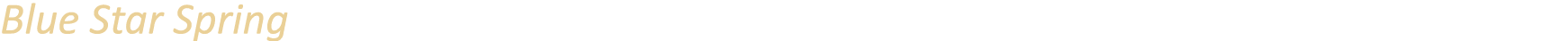 Blue Star Spring