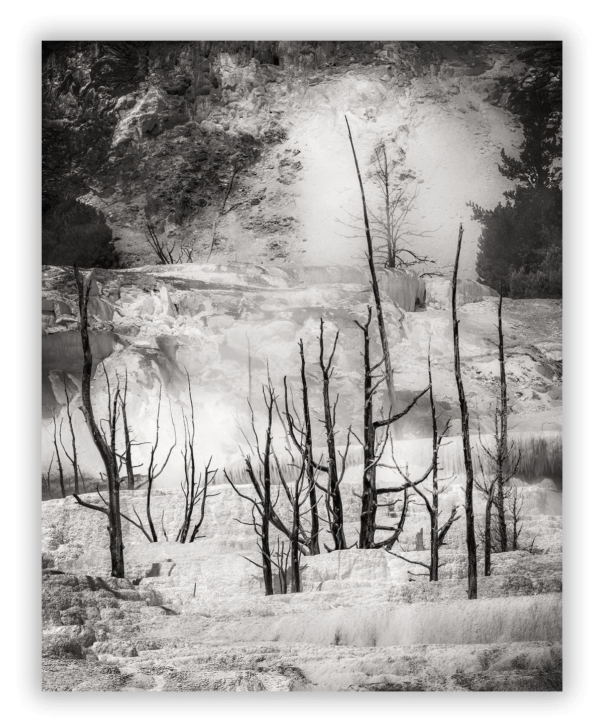 Mamoth Hot Springs Angel Terrace